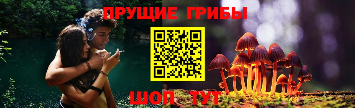 Псилоцибиновые грибы ЛСД Ейск